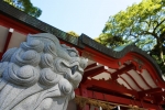 来宮神社の写真