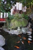 来宮神社の写真