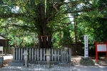 熊野速玉大社の写真