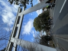 寒川神社の写真