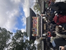 寒川神社の写真