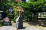 山梨岡神社の写真