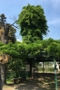 山梨岡神社の写真