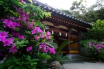 洲崎神社の写真