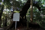住吉神社 (下関市)の写真