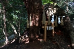 住吉神社 (下関市)の写真