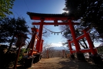 新倉富士浅間神社の写真