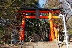 新倉富士浅間神社の写真
