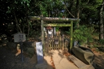 自凝島神社の写真