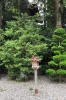 天河大弁財天社/天河神社の写真
