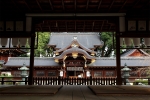 今宮神社の写真