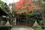 今宮神社の写真
