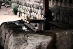 戸隠神社の写真