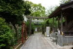 八坂神社の写真