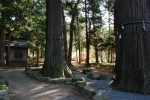 河口浅間神社の写真