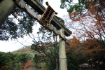 出雲大神宮の写真