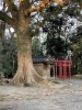 千栗八幡宮の写真