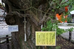 伊那下神社の写真