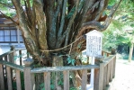 幣立神宮、幣立神社の写真