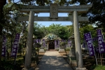江島神社の写真