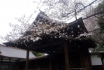 靖国神社の写真