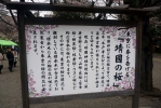靖国神社の写真