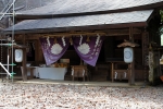 吉水神社の写真
