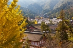 厳島神社の写真